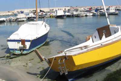 Torre a Mare, la sabbia ha invaso il porto: inquinamento e danni
